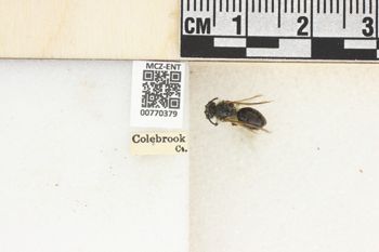 Media type: image;   Entomology 770379 Aspect: Labels